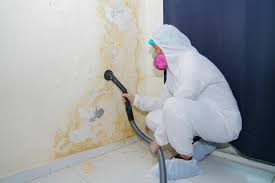 Best Airborne Mold Testing  in East Rockaway, NY